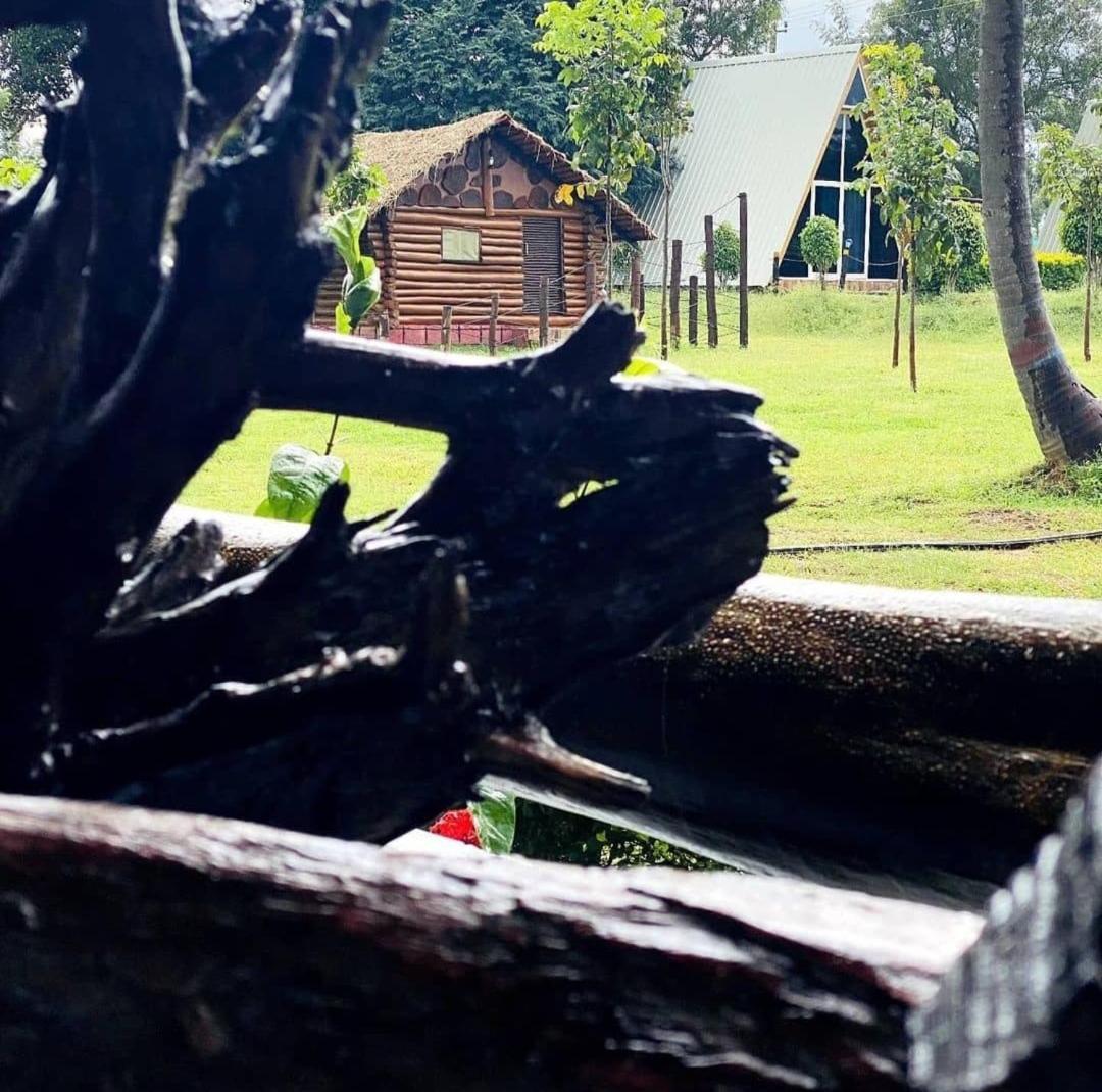Dejavoo Hotel Gādigarpālya Kültér fotó